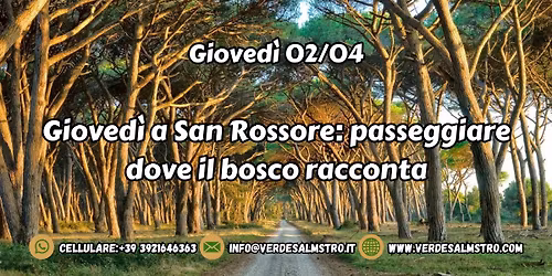 Gioved\u00ec a San Rossore: passeggiare dove il bosco racconta