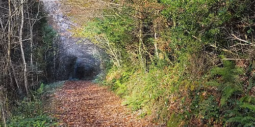 Leinster Way CR & TR