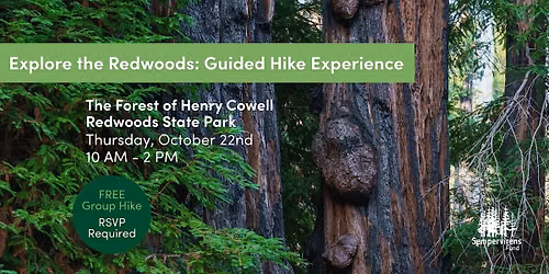 Guided Hike at Henry Cowell Redwoods State Park