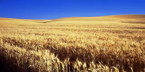 Houston Grand Opera: Of Mice and Men