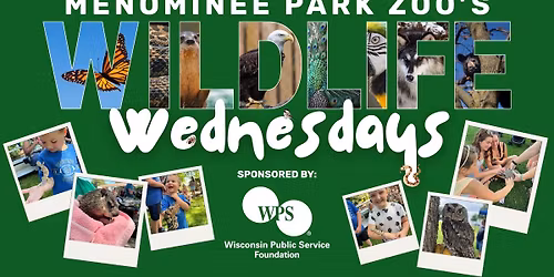 Wildlife Wednesday - Miss Kim's Amazing Animals