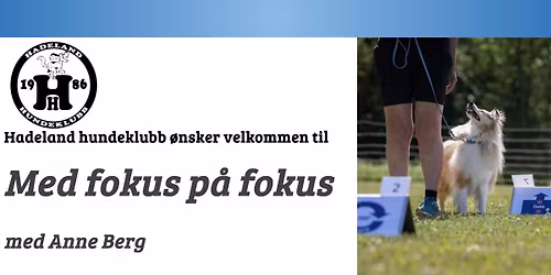 \ud83d\udc3e Med fokus p\u00e5 fokus