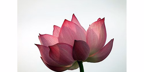 Buddhist Meditation Introductory Course