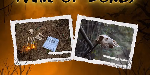 Trail of Bones