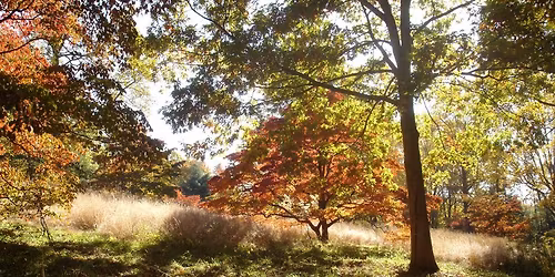 Planning for a Garden Transition