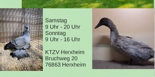 Kreisverbandsschau S\u00fcdpfalz