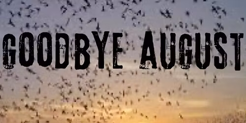 Goodbye August Live at Andy D's on Navarre Beach