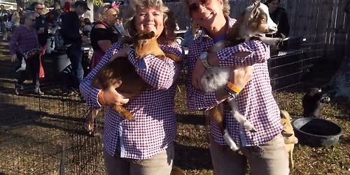 Bockfest, Pinellas Park FL