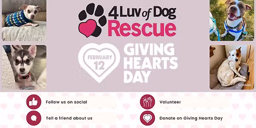 Giving Hearts Day 2026 with 4 Luv of Dog Rescue