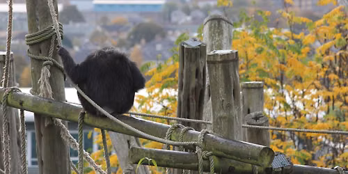 Nature Photography Workshops