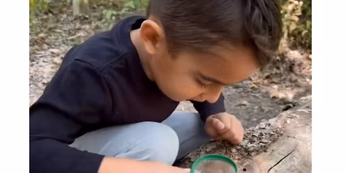 One Small Square of the Woods Enrichment Class 