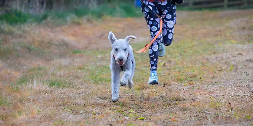 Ruff Trailz Weekender II