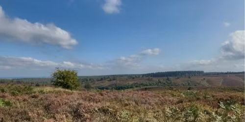 Sustainability Matters AGM