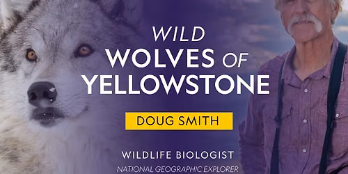 National Geographic Live: Wild Wolves of Yellowstone