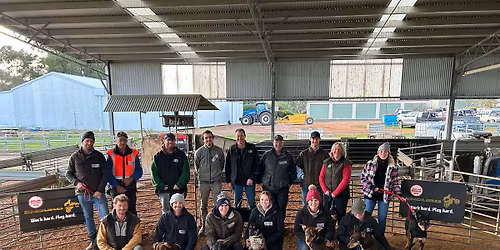 Casterton Kelpie Muster - Working Dog School - Joe Spicer
