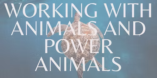 Shadow Work - Power Animals & Animal Allies