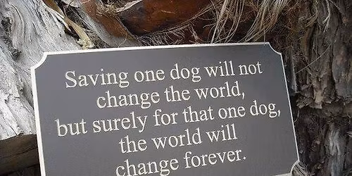 Bake Sale and Meet \u2018n Greet