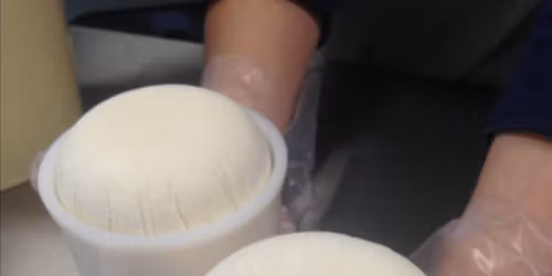 $75 Gift Certificate for Future Class at Tulip Tree Creamery