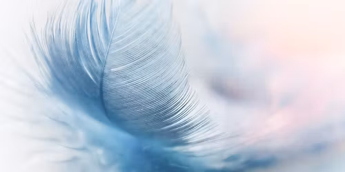 La vacuit\u00e9 de l'esprit