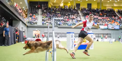 Agility & Sports Camp \/ 26.01. - 30.01.2026