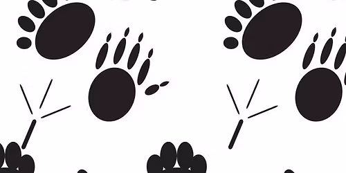 Tracks, Trails, and Tails