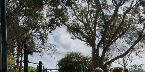 Adult Parkour Workshop