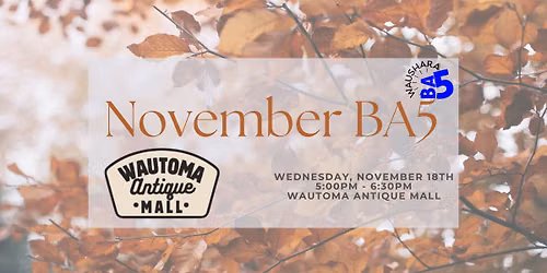 November BA5: Wautoma Antique Mall