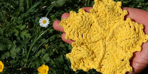 Beginner & Intermediate Crochet Workshop | Make a Hibiscus Flower
