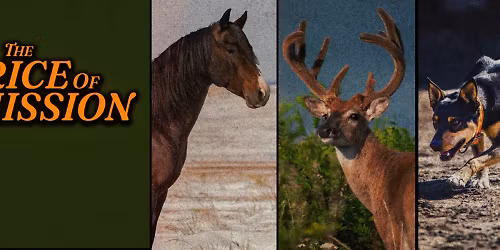 Turnpike Troubadours, Avery Anna, Rattlesnake Milk in Colorado Springs