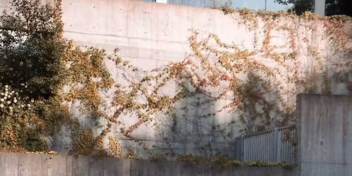 \ud83d\ude97 KPR CARS ROAD TOUR vol. 1!