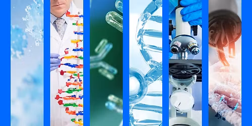 Resilience and Recovery: Scientific Breakthroughs in the New Immune Landscape