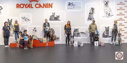 Rally Obedience Christmas Cup - Nacion\u0101l\u0101s sacens\u012bbas 13.12.2025.