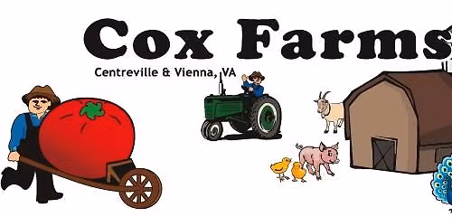 Late as Usual at Cox Farm Pumpkin Madness Blowout