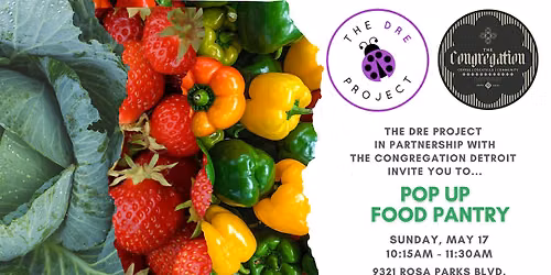 FREE FRESH FOOD PANTRY  hosted by The DRE Project