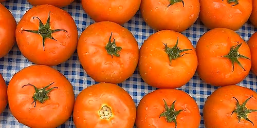 Mount Sinai Greenmarket