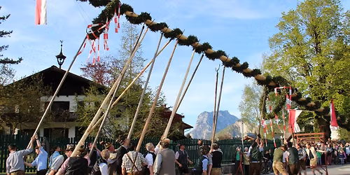 Traditionelles Maibaumaufstellen der FF Rindbach