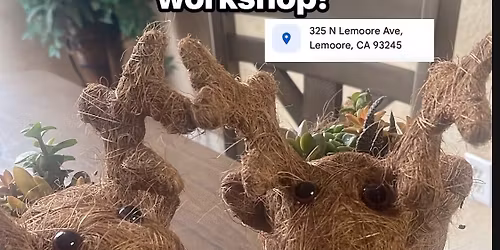 Holiday Reindeer Succulent Workshop