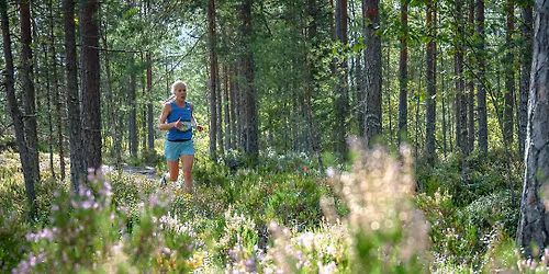 Nouxfest Trail - 5km ja 10km polkujuoksu Nuuksion kauniilla poluilla