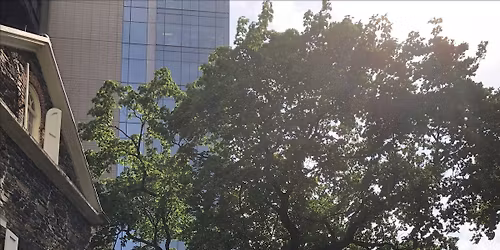 Step Back in Time: Guided Tours at the Mount Vernon Hotel Museum & Garden