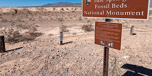 Las Vegas Leadership Walk at Tule Springs