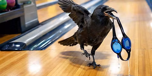 Legacy Swim Team Goes Bowling!!