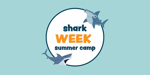 Shark Week Summer Camp