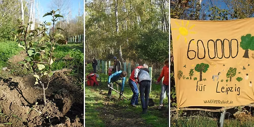 Pflanzaktion Neuer Israelitischer Friedhof