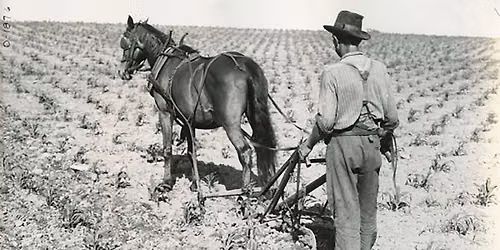 Perspectives: Who is a Farmer?