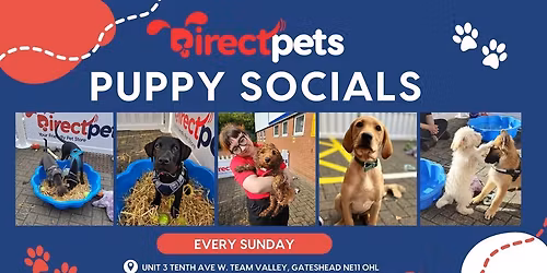 Puppy Social