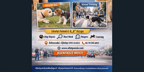 \ud83c\udfc6 Monty Kutyaiskola Szintfelm\u00e9r\u0151 \u00e9s Beiratkoz\u00e1s \u2013 Budapest XVII.