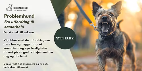 Problemhund: fra utfordring til samarbeid (ledige plasser)