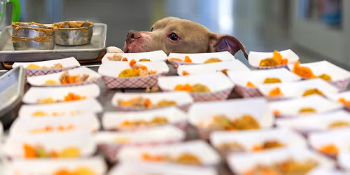 Yappy Hour - BARKSgiving