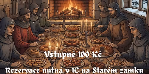 V\u00e1noce na Star\u00e9m z\u00e1mku v Ho\u0159ovic\u00edch