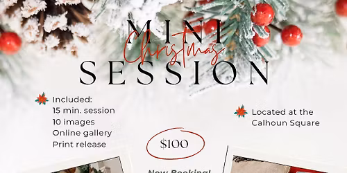 🎄Christmas Mini's✝️